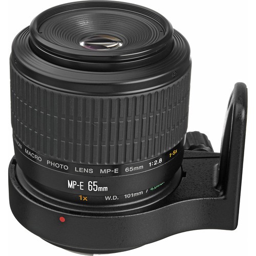 Canon MP-E 65mm f/2.8 1-5X Macro Objektiv